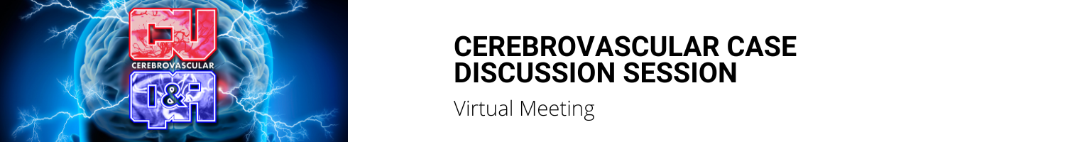 SSF Cerebrovascular Q&A Discussion Sessions 2024 Banner